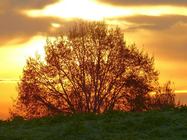 Spätherbstlicher Sonnenaufgang