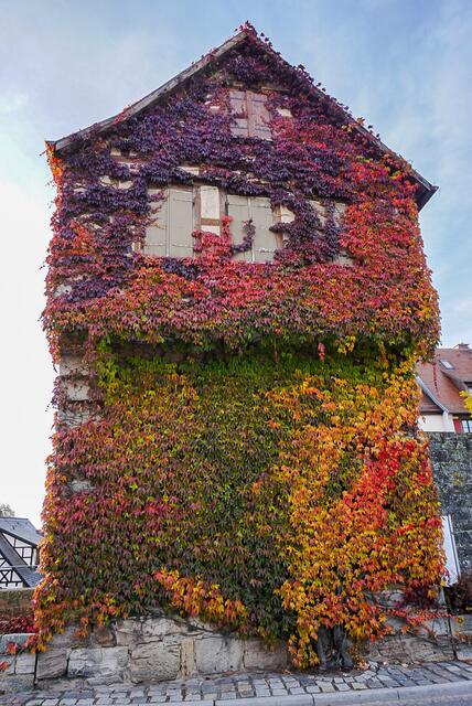 Herbststimmung an der Hausfassade