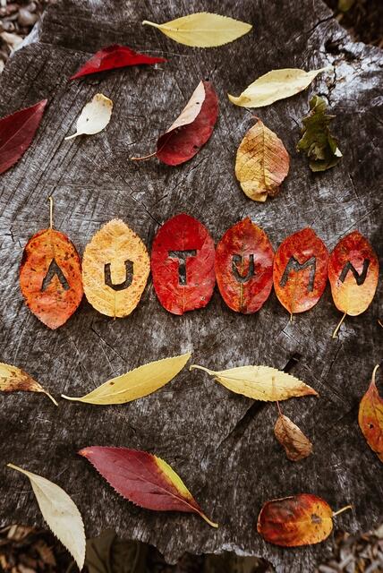 Autumn