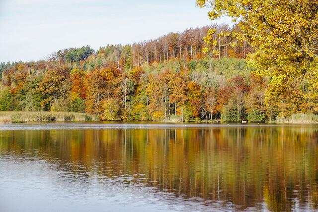 Herbst am Neumühlsee