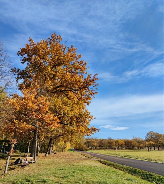 Kurze Pause mitten im Goldenem Herbst
