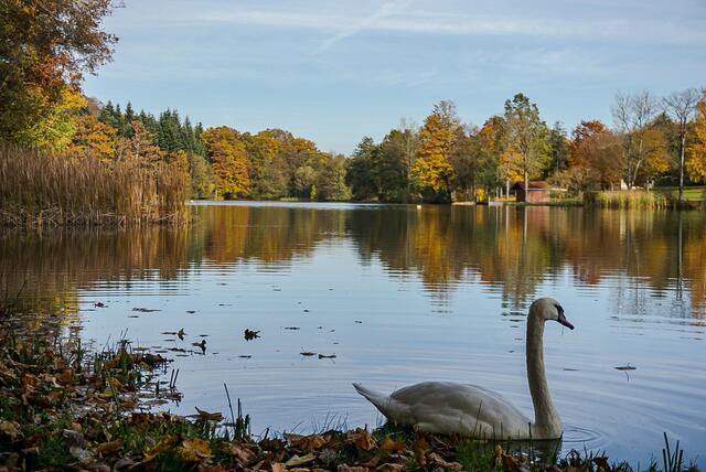 Am Neumühlsee
