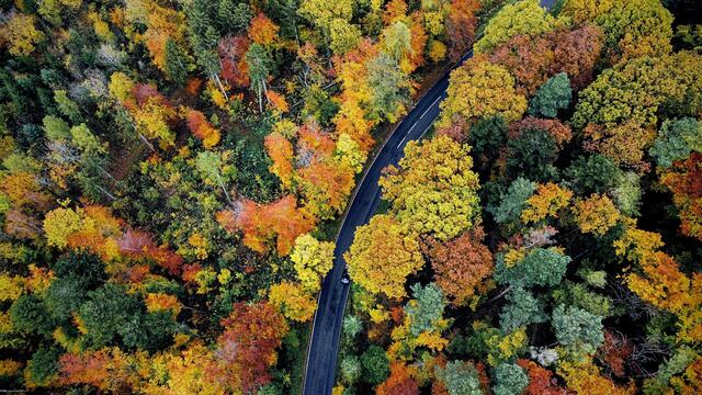 Colored Roads im Stromberg