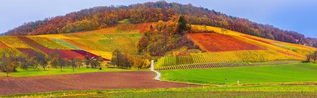 Herbst in Bretzfeld - Blick zwischen Adolzfurt und Geddelsbach