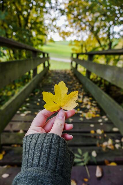 Herbst an der Sall