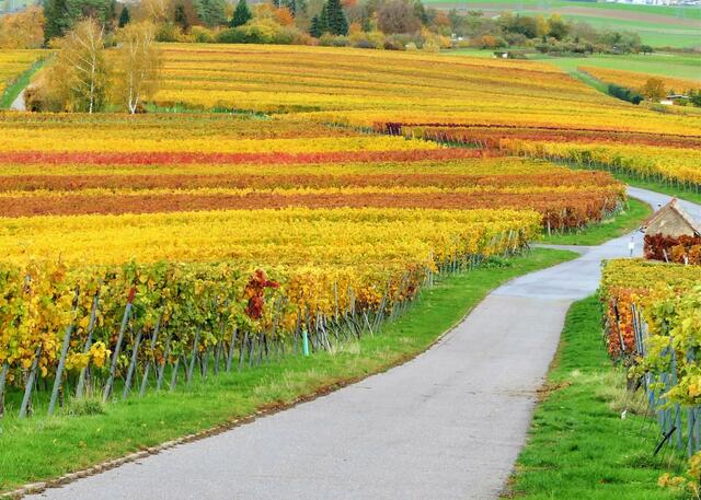 Weg in die Farben