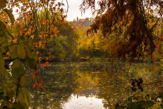 Blick vom herbstlichen Eichbottsee hinauf zur Heuchelberger Warte