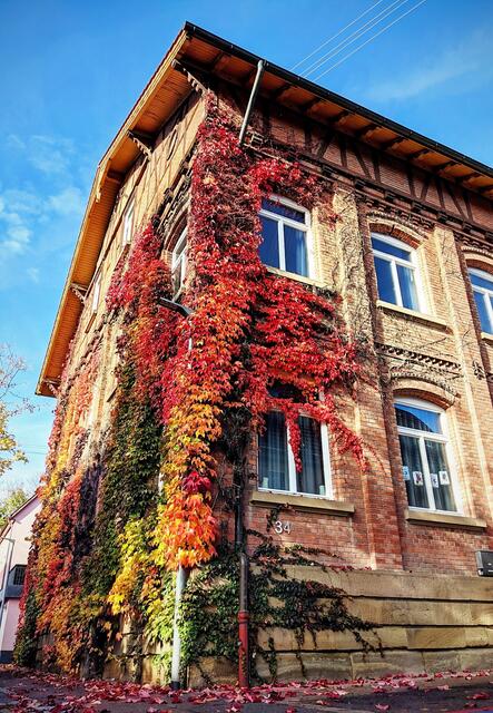 Ein Haus voller Farben