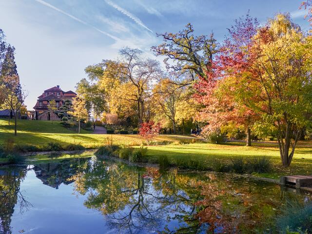 Goldener Oktober im Schlossgarten von Öhringen