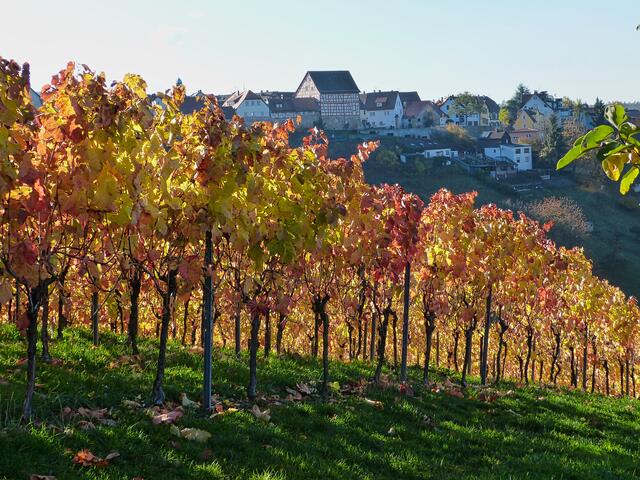 Goldener Herbst in Löwenstein