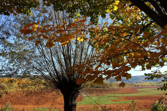 Herbststimmung am Breitenauer See