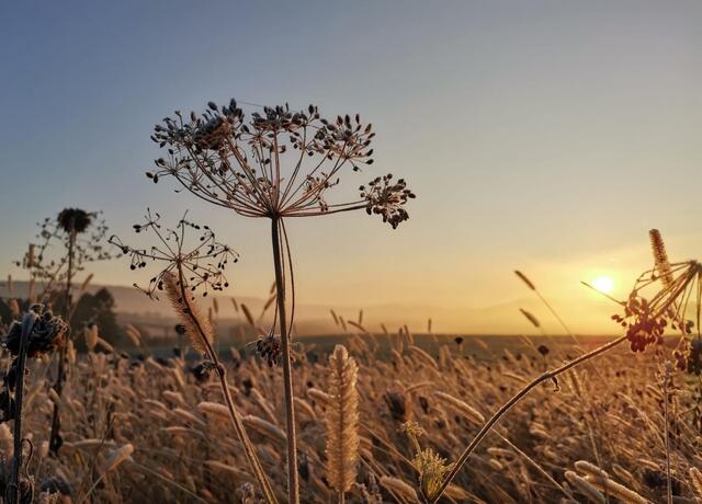 Goldene Stunde am Morgen