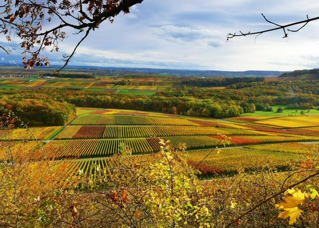 goldiger Ausblick