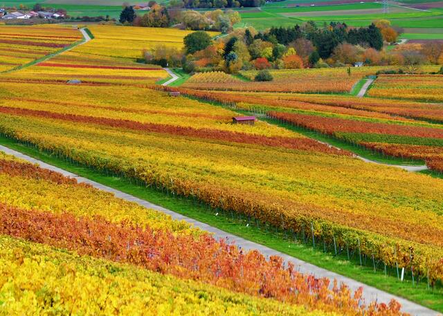 Wege ins Gold
