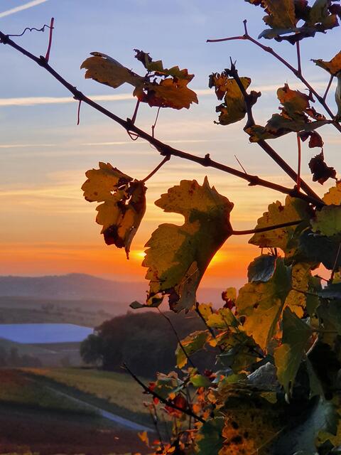 Abendstimmung an der Donnbronner Höhe