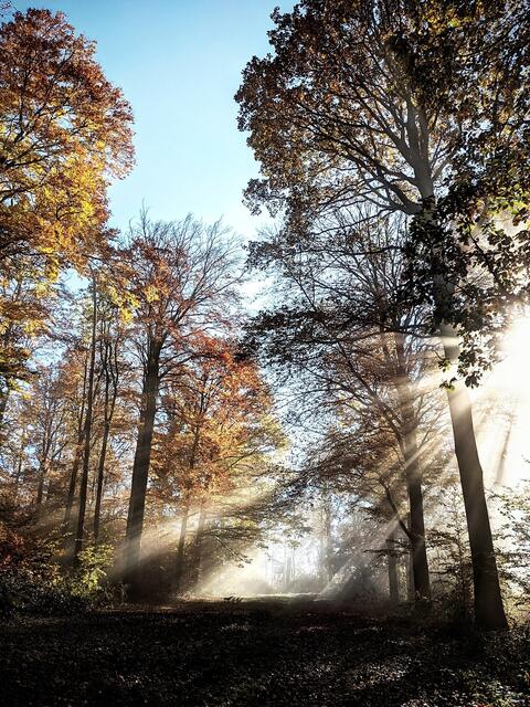 Licht und Schatten