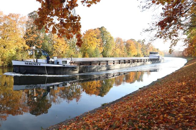 Herbstromantik Neckar