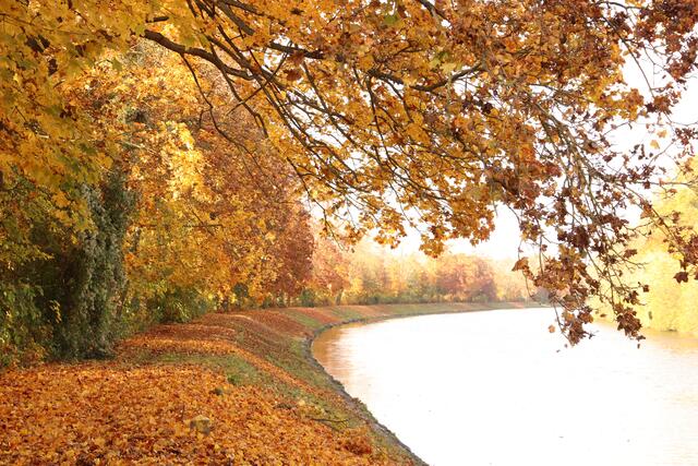 Neckar bei Horkheim