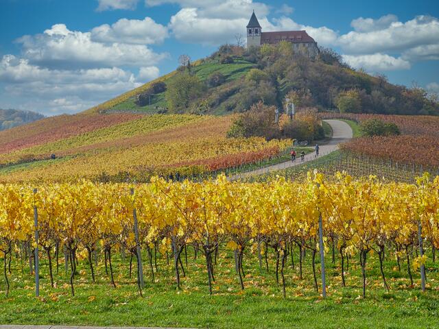 Herbst am Michaelsberg