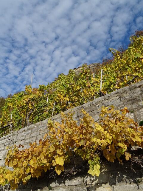 Herbst bei den Felsengärten