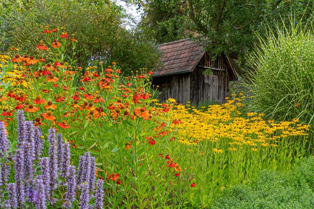 Botanischer Obstgarten