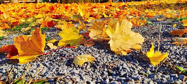 Der goldene Boden