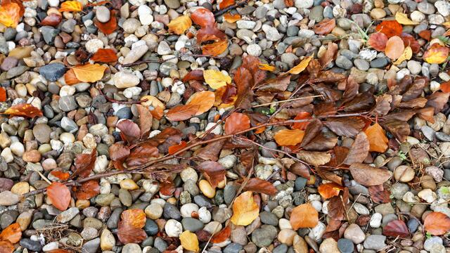 Herbstliches Stilleben