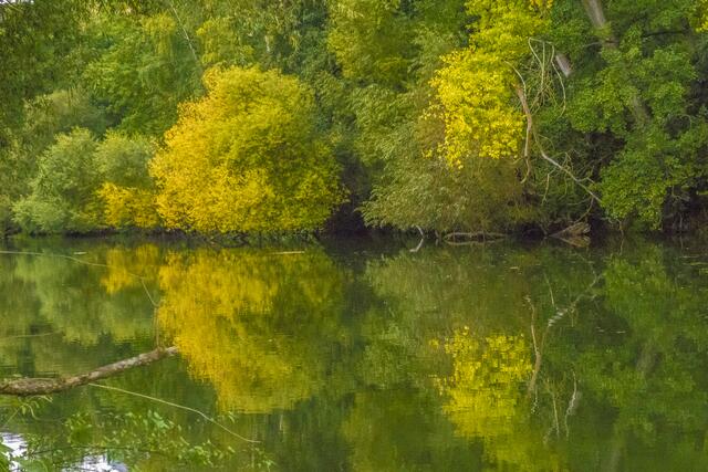 Vom Herbst gemalte Spiegelung am Kocher