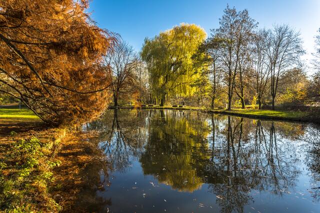 Herbstliche Farbenpracht am Wilfensee Neckarsulm
