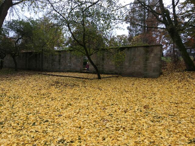 Unterwegs im Herbstgold mit goldiger Enkelin