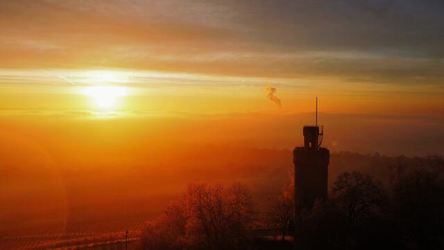 Heuchelberger Warte im Morgenlicht
