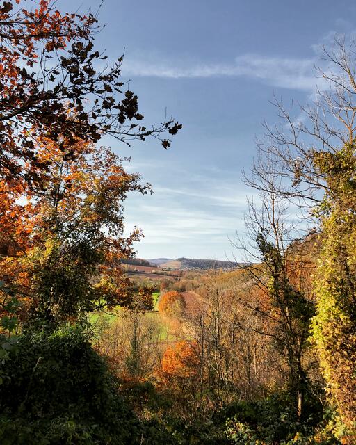 November: Farbenspiele im Herbst