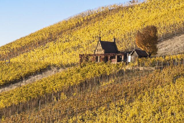 Heilbronner Weinberghaus im goldenen Herbstlicht