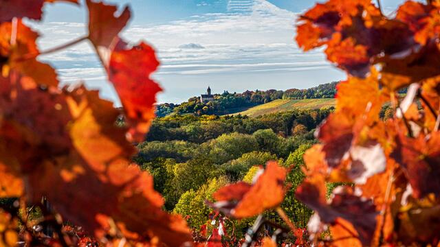 Gegend um das Schloss Stocksberg in Herbstfarben