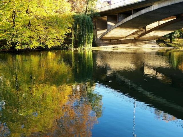 Rosenaubrücke