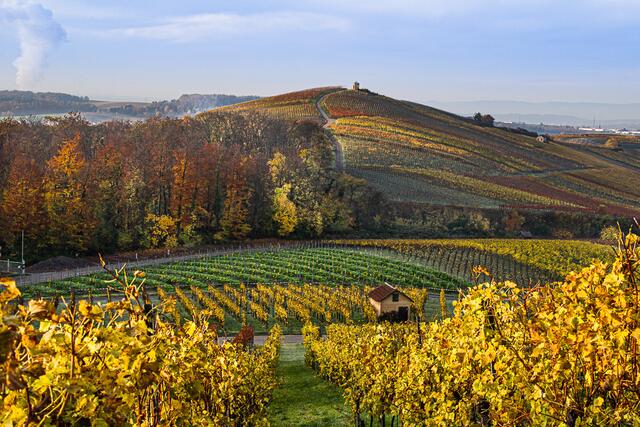 Blick auf den Staufenberg
