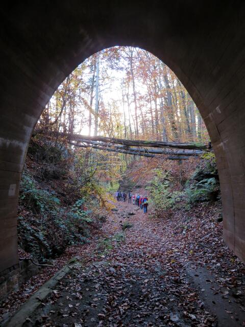 Die gleich nach dem Bild wieder wandern wie am Schnürchen | Foto: Aurelia Kling