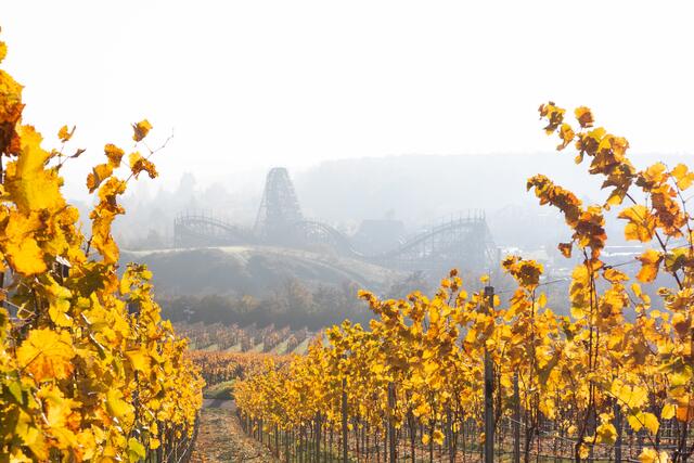 Tripsdrill zwischen den Weinbergen