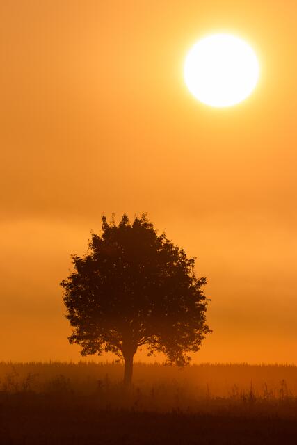 Goldener Sonnenaufgang