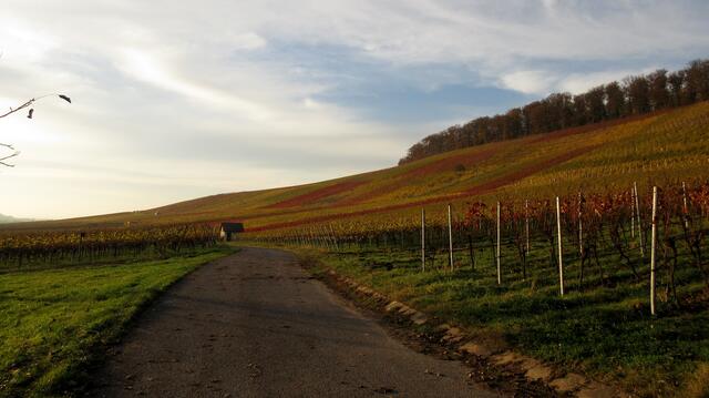 Herbststimmung am Altenberg