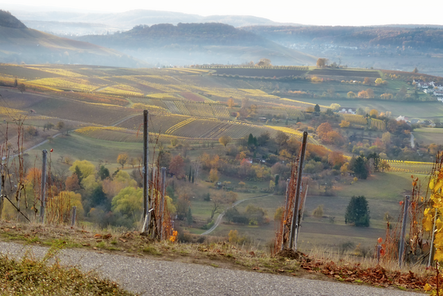 noch mehr Gold ist fast nicht möglich...Blick vom Scheuerberg