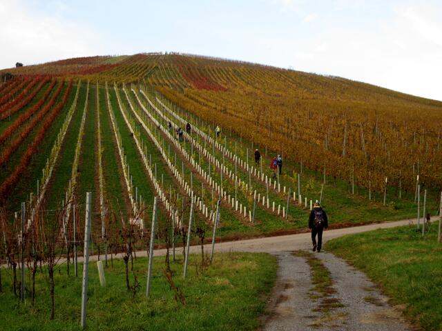 Da half dann nur noch der direkte Weg nach oben