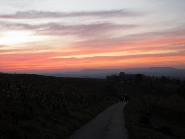 Dann wurde es bald Zeit sich wieder los zu reißen, denn der Rückweg sollte noch gefunden werden.