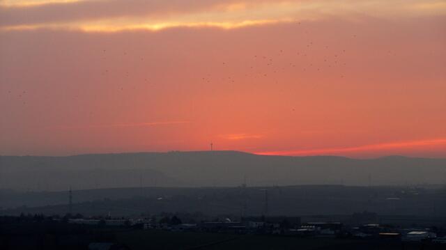 Herrlicher Blick zum Stromberg. Ein Vogelscharm und der Funkturm von Brackenheim