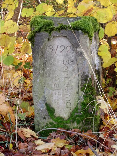 Wandern durch den Sontheimer Wald