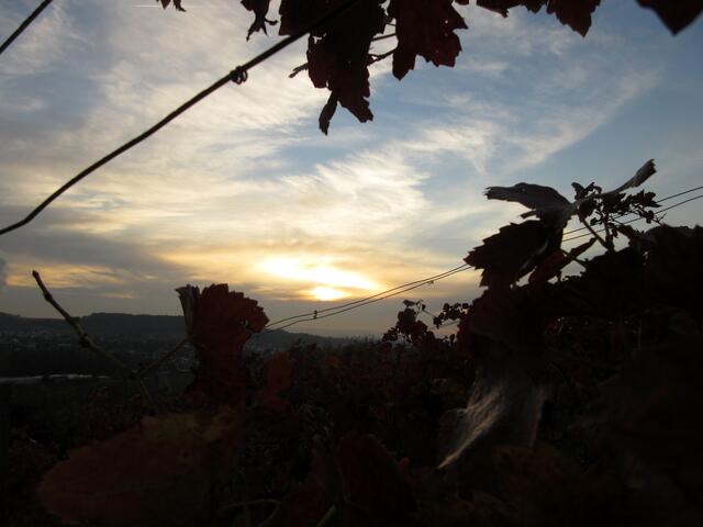 Langsam werden die Farben wärmer