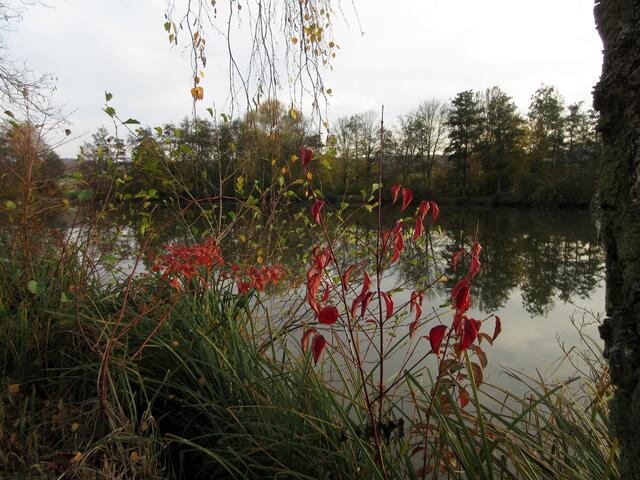In der Karte steht Leberbrunnensee, aber beim Weinausschank steht Fleiner See. Egal, weiß sowieso jeder was gemeint ist.