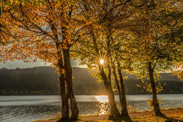 Am See