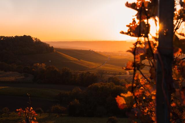 Goldene Aussicht von Burg Wildeck