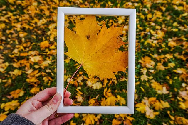 Goldener Herbst